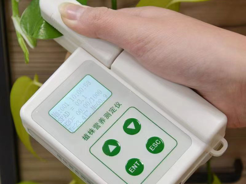 植株营养检测仪